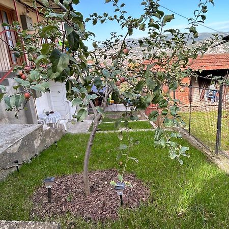 Apartament The Heart Of Sarajewo Zewnętrze zdjęcie
