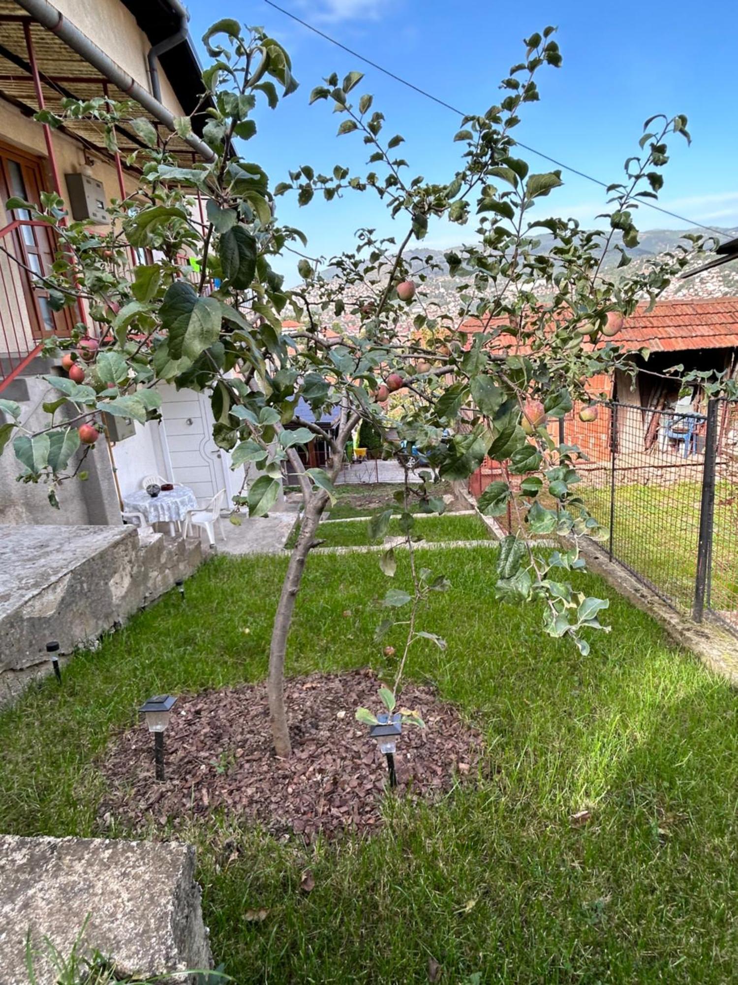 Apartament The Heart Of Sarajewo Zewnętrze zdjęcie
